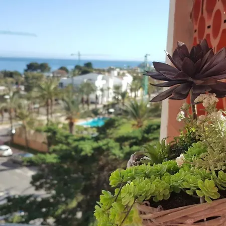 El Palmeral 滨海罗克塔斯