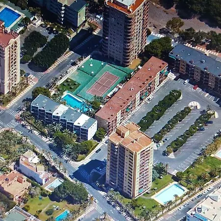 El Palmeral