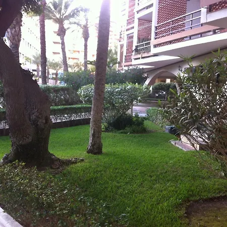 公寓 El Palmeral